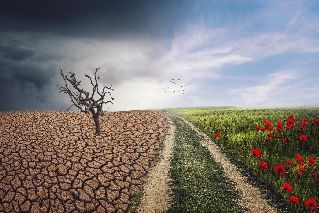Klimawandel:  Ausbau von Negativemissionstechnologien